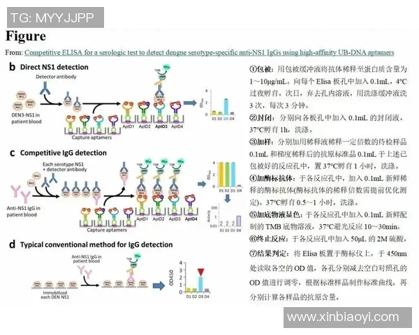 成都篮球队意识表现的数据分析与战术优化研究