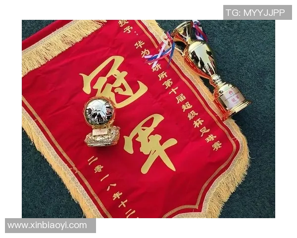 成都足球队杯赛征程回顾与突破历程的深度剖析与展望