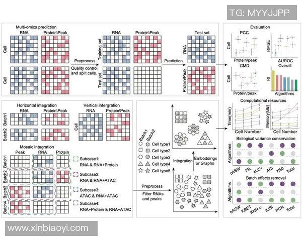 南京网球队灵活性分析与表现评估探讨
