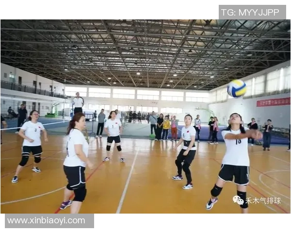 深入探讨成都排球队比赛经验的异同与影响因素分析