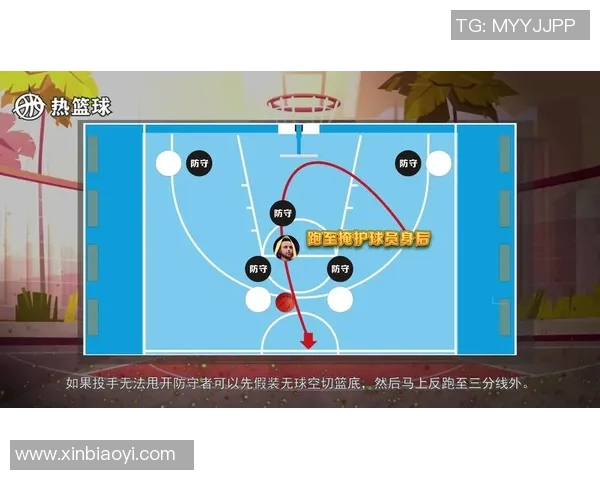 独家深度解析成都篮球队各队员实力对比与战术优势分析