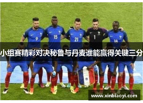 小组赛精彩对决秘鲁与丹麦谁能赢得关键三分